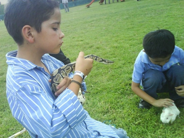 aprendiendo a convivir